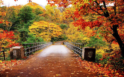Top 10 Best Autumn Quotes - Top 10 Best Quotes
