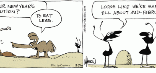 Best Ant Jokes