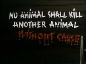 Best Animal Farm Quotes